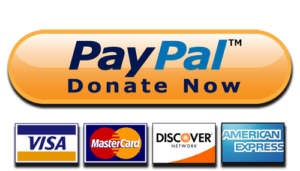 Paypal Donate Button